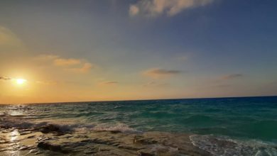 صورة فرحة حياة