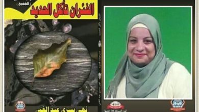 صورة هل حقا “الفئران تأكل الحديد”؟