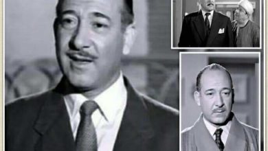 صورة الفنان أحمد علام.. أفندينا الباشا كان ابن العمدة
