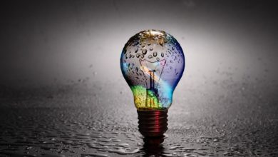 صورة ماذا بعد إلغاء العقل!!