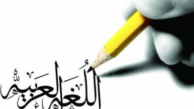 صورة حال لغتنا العربية في ظل السياسات الخاطئة للحكومات العربية !