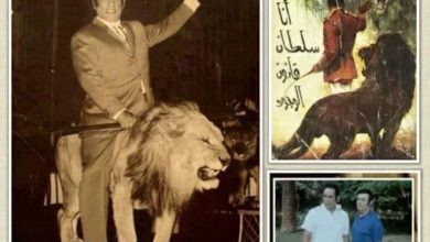 صورة حكاية مدرب الأسود “محمد الحلو” مع الأسد “سلطان”