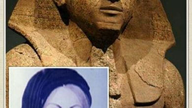 صورة الدكتورة “سعاد ماهر”.. حتشبسوت مصر المعاصرة