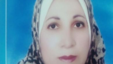 صورة رؤية مقترحة لتطوير وتنمية مؤسسات التعليم العالي الحكومية في مصر