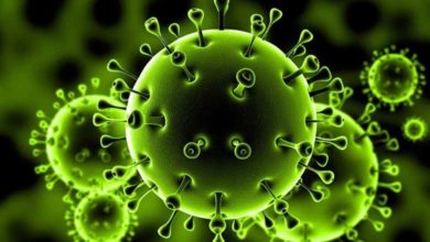 صورة فيروس كورونا – أسبابه وطريقة الوقاية منه