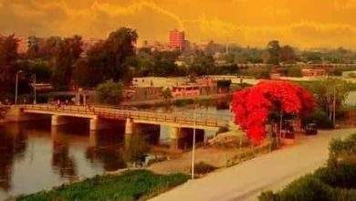 صورة شباب قرية الحسانيين جدعان أون لاين