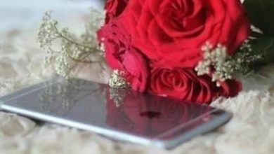 صورة عبير كلماتي