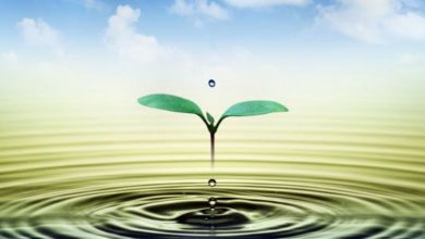 صورة “الحقيقه العاريه”
