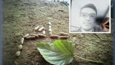 صورة سَجِّلْ نبضات عقلك