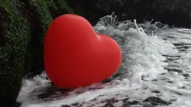 صورة قصة قصيرة == على قارعة القلب ==