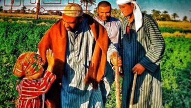 صورة أعمال فنية كوميدية هادفة من داخل الريف المصري الجميل