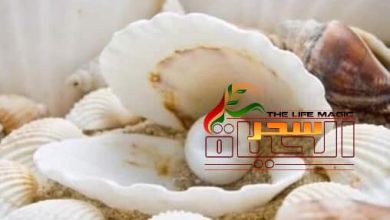 صورة قبلة على الفنجان 