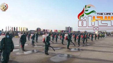 صورة مصر في زمن الكورونا 5