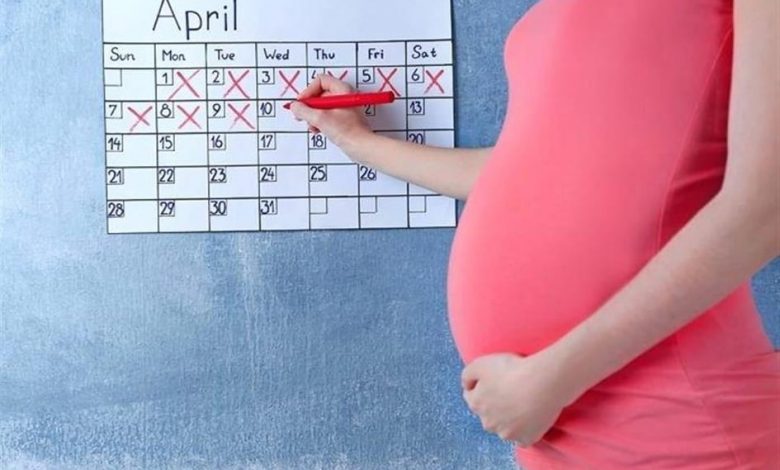 مراحل الحمل الثلاث ودليل المرأة الحامل