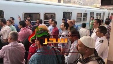 صورة مصر في زمن الكورونا 6
