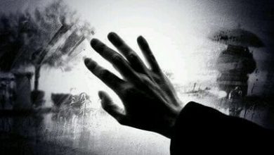 صورة  قَلب يريد وعَقل يرفض بقلم “نور محمود الأسود”
