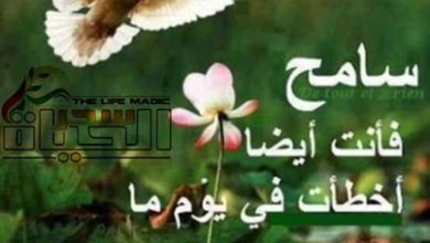 صورة “سامح تحيا” “بقلم :زينب سيد