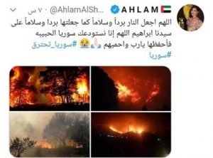 نجوم الوطن العربي يغردون من أجل سوريا "سوريا تحترق"