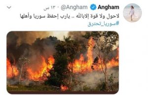 نجوم الوطن العربي يغردون من أجل سوريا "سوريا تحترق"