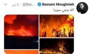 نجوم الوطن العربي يغردون من أجل سوريا "سوريا تحترق" بعد الحرائق التي اجتاحت العديد من الأرضي في المدن السورية منذُ بداية شهر "أيلول