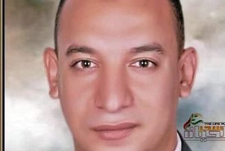 صورة جامعة المنيا في ميزان التميز