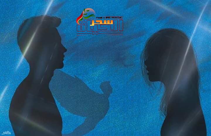 كواليس في الحب المقتطف الأخير