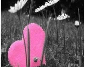 صورة ” الحب الحقيقي “بقلم الدكتور نضال لطفي العرجان
