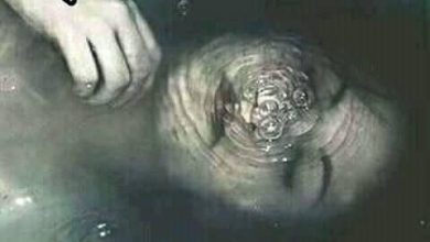 صورة بسم الحياة