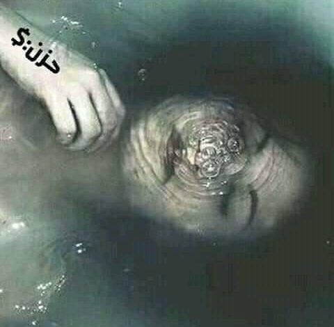 بسم الحياة