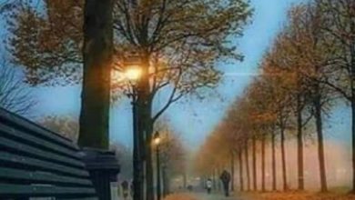 صورة شعور النفس و الروح و الذات