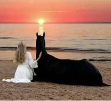 صورة همستي