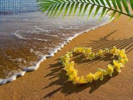 صورة همستي
