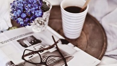 صورة همستي