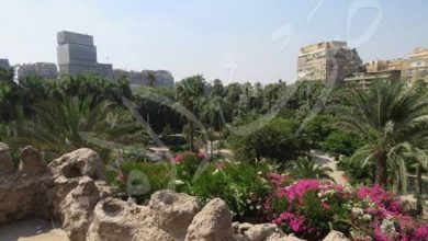 صورة ” حديقة الجبلاية ” شاهد عيان على الحب الأسطوري بين أوجيني وإسماعيل باشا