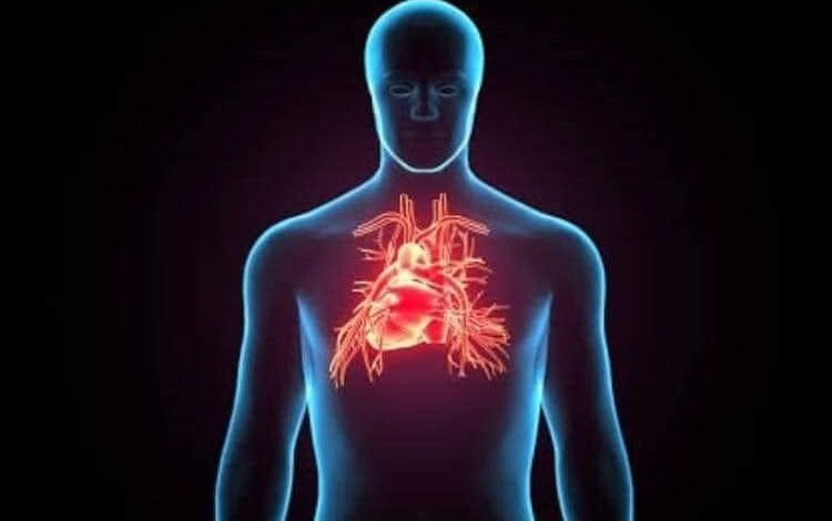 المغنزيوم والأزمات القلبية