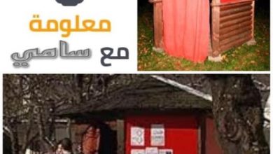 صورة معلومة (5) مع سامي