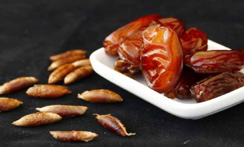 نواة التمر لتخسيس الوزن وللحماية من التجاعيد