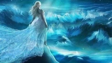 صورة همستي ” حوار لهفة الأرواح “
