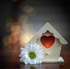 صورة همستي
