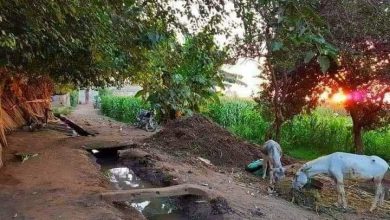 صورة رحلة الإبحار في الأعماق “حلم الطفولة”