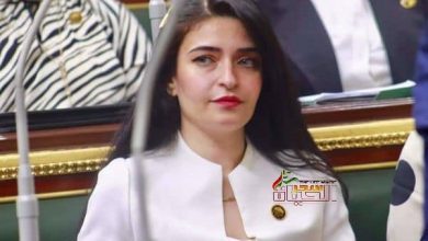 صورة أهمية إدارك النواب للواقع السياسى والمجتمعى .. دكتورة إيرين سعيد تعد نموذجا