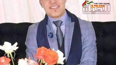 صورة حٓياء كٓلِمٓات بقلم يوسف أسونا