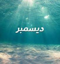 صورة ديسمبر ..بقلم نجلاء فتحي عزب