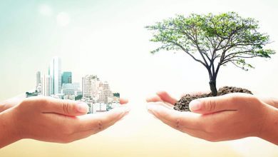 صورة التنميّة الاقتصادية، أهدافها وخصائصها