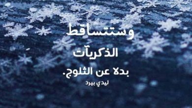 صورة الذكريات الجميلة مضادة للبرد