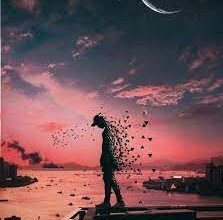 صورة تناقضٌ مسموحٌ به .. بقلم :رؤى عماد