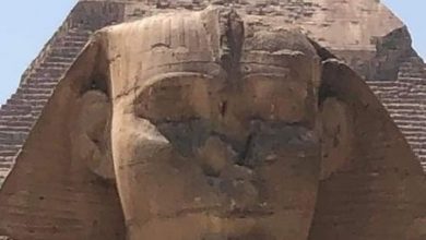 صورة أبو الهول تحاصره الشائعات وتنشر صوره نائما