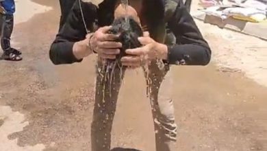 صورة المجرى المبروكة في إدكو “العالم يبحث عن علاج الأوبئة ونحن نتداوى بمياه المجاري