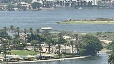 صورة ظلال وحياة ما بين النخل والنيل …بقلم :إيناس رمضان