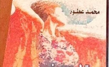 صورة صعود وهبوط وألوان طيف مطرزة بالحياة .. قراءة نقدية لمجموعة قصصية